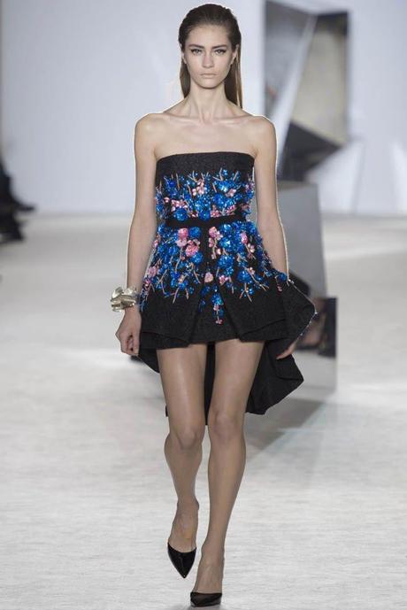 Haute Couture Spring 2014 : Valli Haute Couture Spring 2014 : Valli