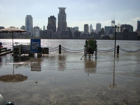 Le beau Huang Pu brun Le beau Huang Pu brun