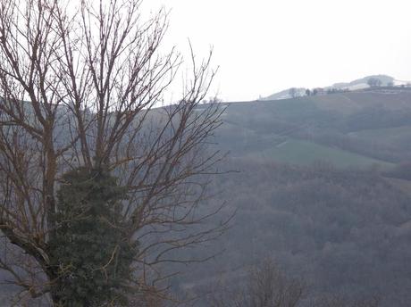 tire à vie tire à vie