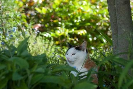 Chic, ch'est chamedi... somewhere ! 052012 8