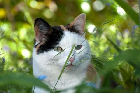 Chic, ch'est chamedi... somewhere ! 052012 4