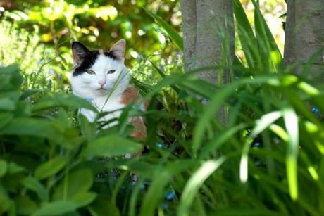 Chic, ch'est chamedi... somewhere ! 052012 5