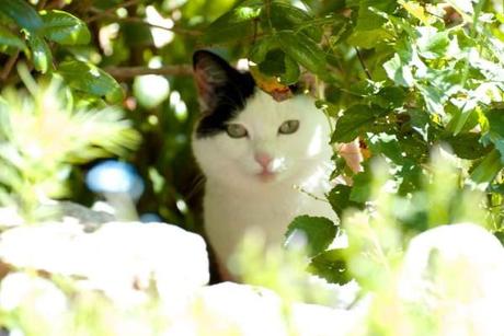 Chic, ch'est chamedi... somewhere ! 052012 2