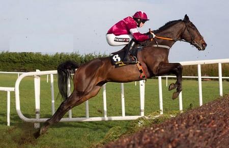 janvier 2014 Trifolium26012014