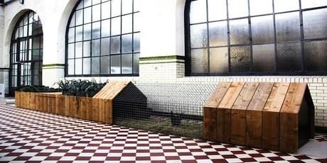 BELGE: City Farming, chacun son potager! BELGE: City Farming, chacun son potager!