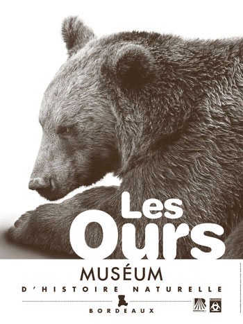Ours : Expertise collective scientifique du Muséum National d'Histoire Naturelle