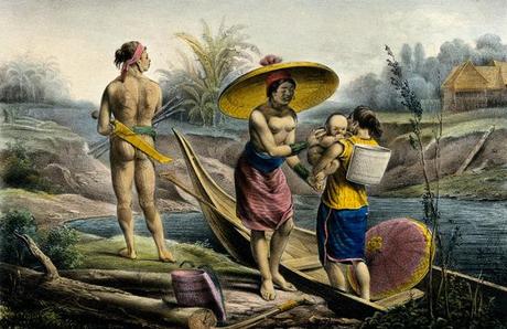 100.000 images HD en libre téléchargement wellcomeimages2