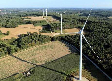 Landes_de_Couesme_ECO110_photo_Pascal Labbé