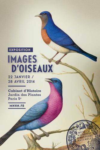 images-d-oiseaux-exposition-affiche