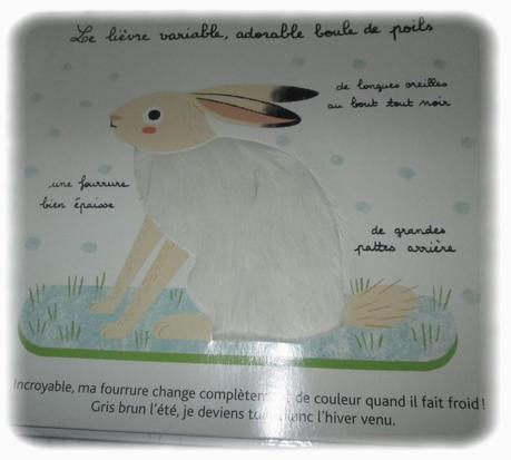 Koutchoulou - janvier 2014 Koutchoulou - janvier 2014