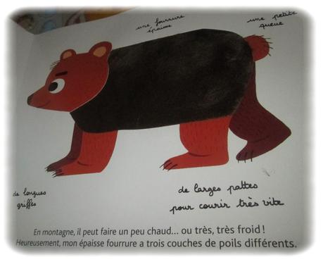 Koutchoulou - janvier 2014 Koutchoulou - janvier 2014