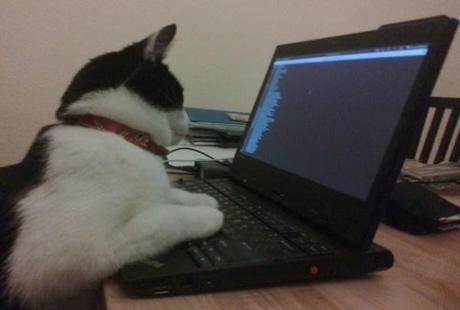 Gagnez des sous en piratant Chrome OS hacker-cat