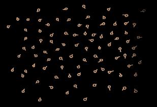 L’évolution humaine en un seul GIF evolution