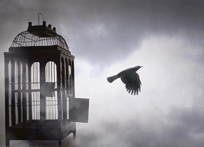 Qu'est-ce que le bonheur ? hebergeur image