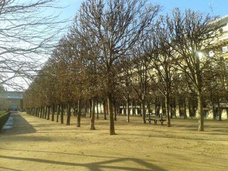 Paris-balade-jardins du palais royal