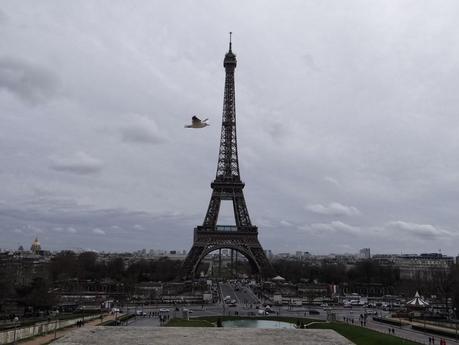 Attentat pigeonneux à Paris (Tour Eiffel)