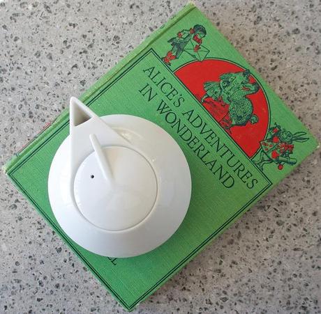 Par mes oreilles et mes moustaches, comme il se fait tard ! DSC06231