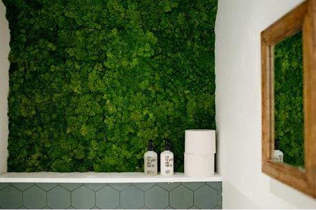 Sla ◆ Amsterdam Sla - Amsterdam