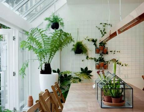 Sla ◆ Amsterdam Sla - Amsterdam