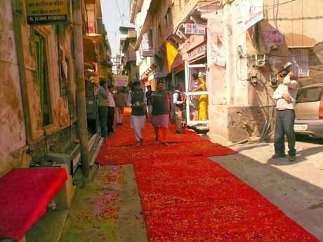 Jaipur, l'anniversaire du dieu Soleil