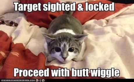 Vous prendrez bien un petit fou rire? target locked