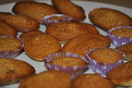 Madeleines Madeleines