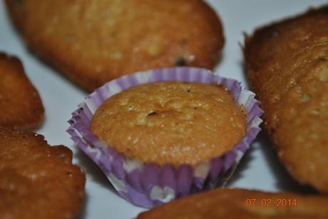 Madeleines Madeleines