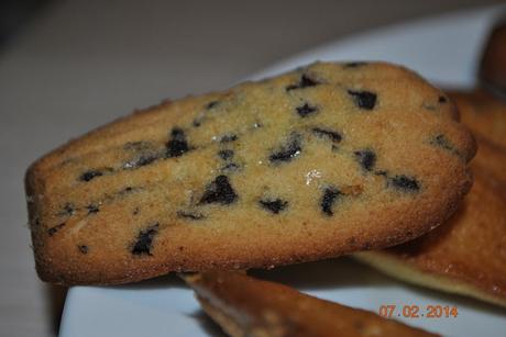 Madeleines Madeleines