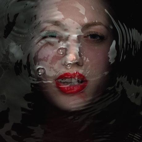 La photographie du Jour La photographie du Jour