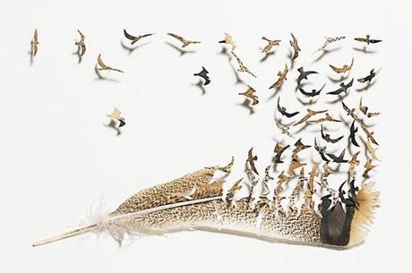 Chris Maynard’s feather art chris-maynard-feathers-1-537x357