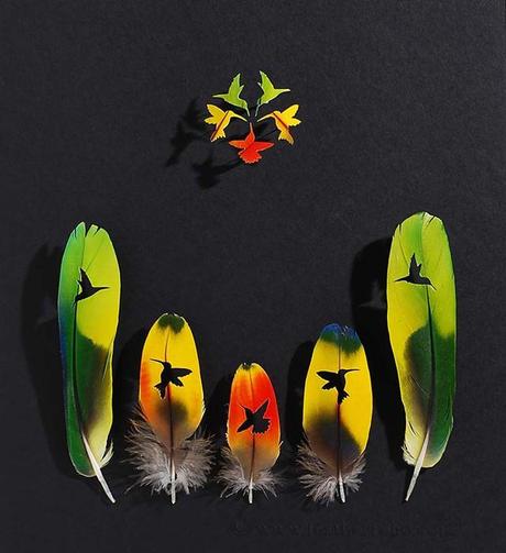 Chris Maynard’s feather art Chris-Maynards-Federnkunst-_2