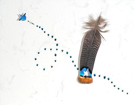 Chris Maynard’s feather art 1386016_orig