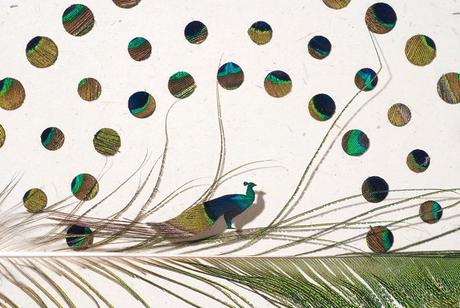 Chris Maynard’s feather art chris-maynard-7