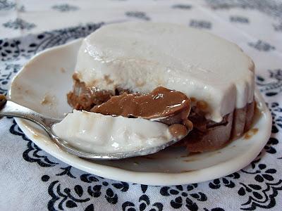 Crème glacée chocolat noix de coco (Vegan)
