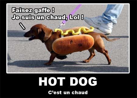 Top 8 des pizzas... Top 8 des pizzas...