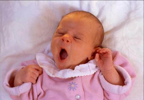 Bébé oublié sous 50° ! large_387240