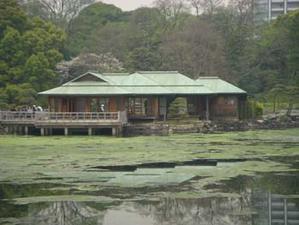 Japon: Le jardin Ham-Rikyu de Tokyo.