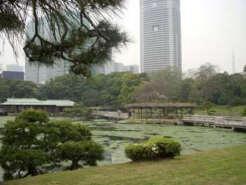 Japon: Le jardin Ham-Rikyu de Tokyo.