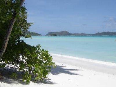 Maillot de bain Maillot de bain