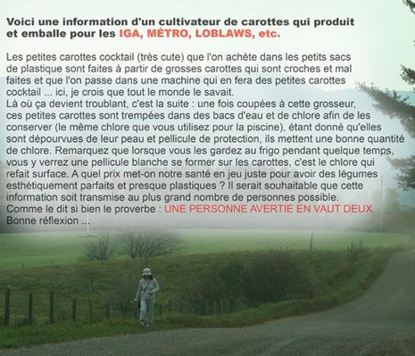 Signatures et révoltite