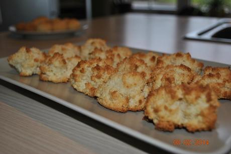 Congolais(rochers) Congolais(rochers)