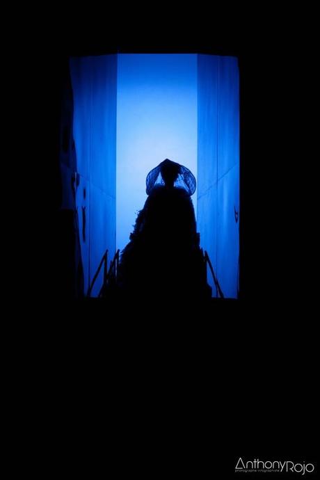 Reportage photo - Opéra Le château de Barbe-Bleue... ou les secrets cachés en un tour de clé - à l'Auditorium de Bordeaux Opéra Le chateau de barbe bleu-1