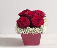 Interflora-St_Valentin-My_Valentine Interflora-St_Valentin-My_Valentine