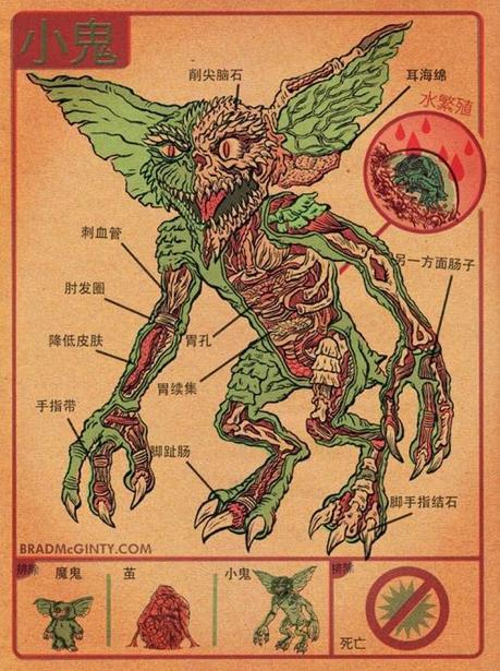 Anatomie des Monstres