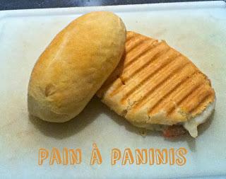 Pain à paninis