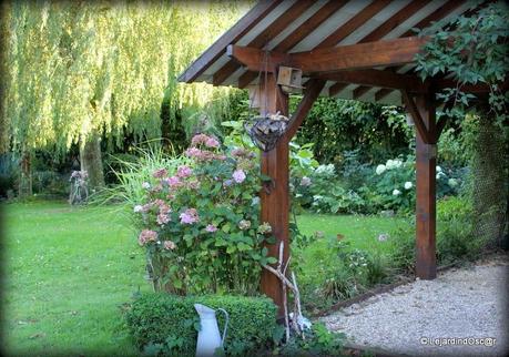 Rétro du jardin Août 2013... Rétro du jardin Août 2013...
