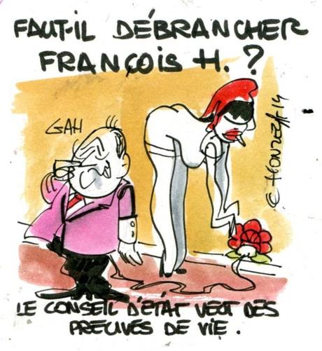 Faut-il débrancher François H. ? img contrepoints049