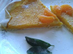 Week-end dans le Gers # 2014/1 tarte mandarine 1