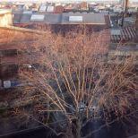 testphoto J’ai testé le Thomson Tlink 475 !