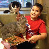 Adorable Kids Learn to Read While Soothing Cute Shelter Cats